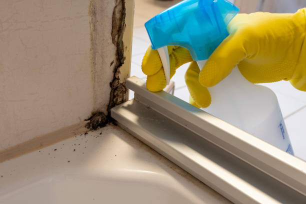 Best Home Mold Removal  in Fairfax, OK