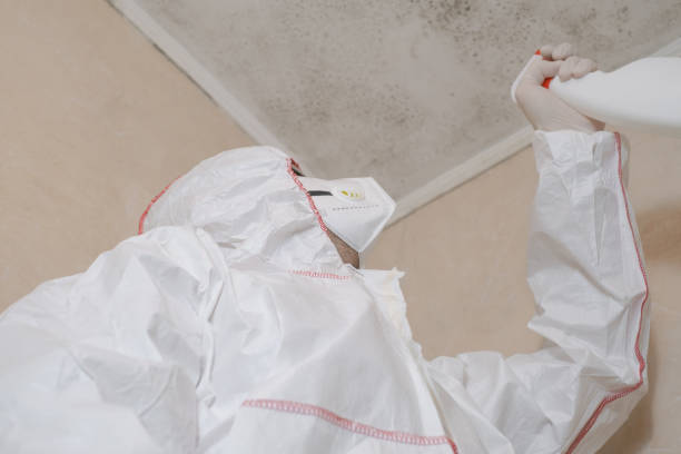 Mold Testing and Removal in Fairfax, OK