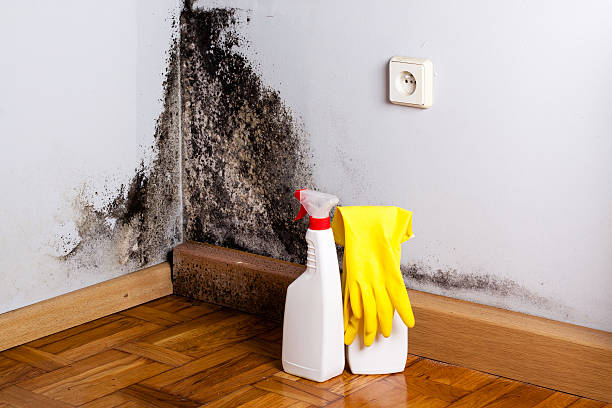 Best Mold Remediation Services  in Fairfax, OK