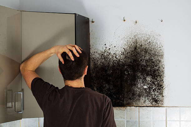 Best Fast Mold Removal  in Fairfax, OK