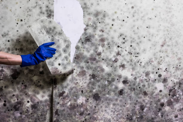Water Damage Restoration in Fairfax, OK