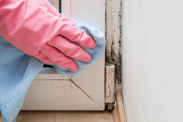 Fairfax, OK Mold Removal Pros