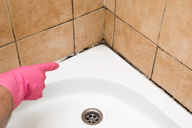 Best Mold Removal Company Near Me  in Fairfax, OK